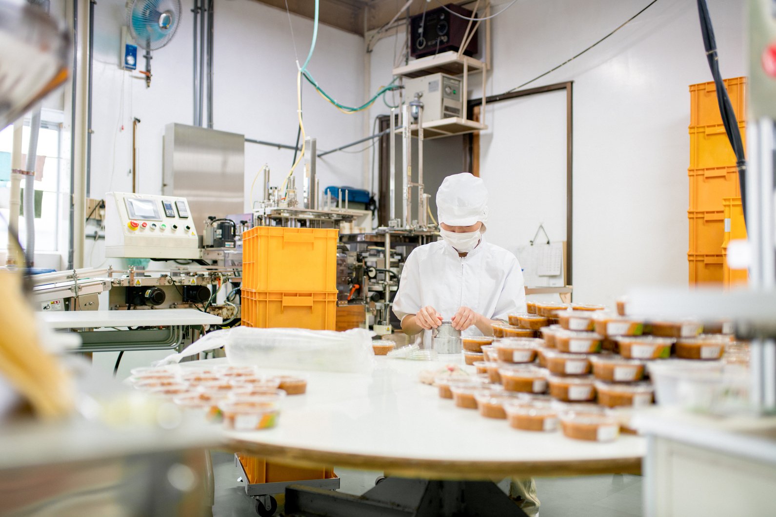 Worker in a food processing factory packaging food